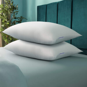 Silentnight Posture Plus Pillow Pair
