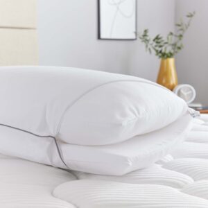Sealy Posturepedic Dual Comfort Pillow